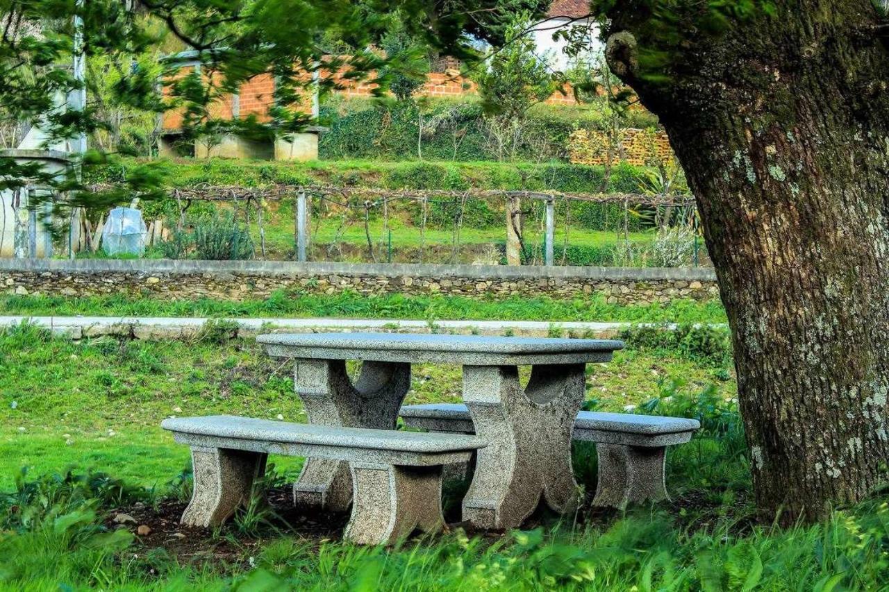 Viana Do Castelo - Amonde Village Casa P - Conforto Qualidade Natureza Exterior photo
